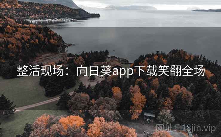 整活现场:向日葵app下载笑翻全场
