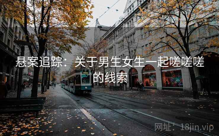 悬案追踪:关于男生女生一起嗟嗟嗟的线索